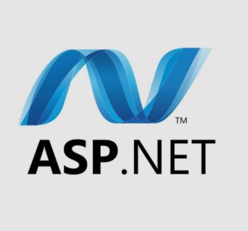 I will build asp dot net API and mvc for you